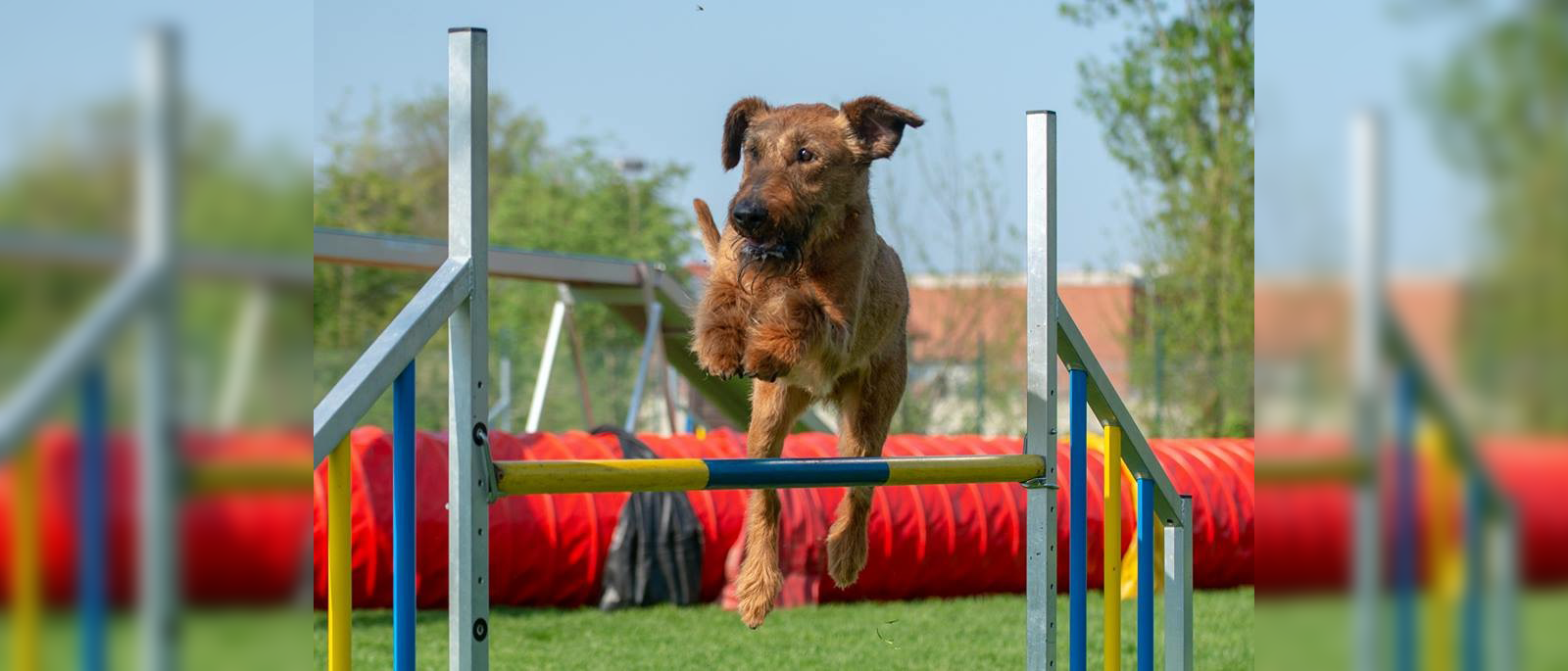 Key Visual Agility
