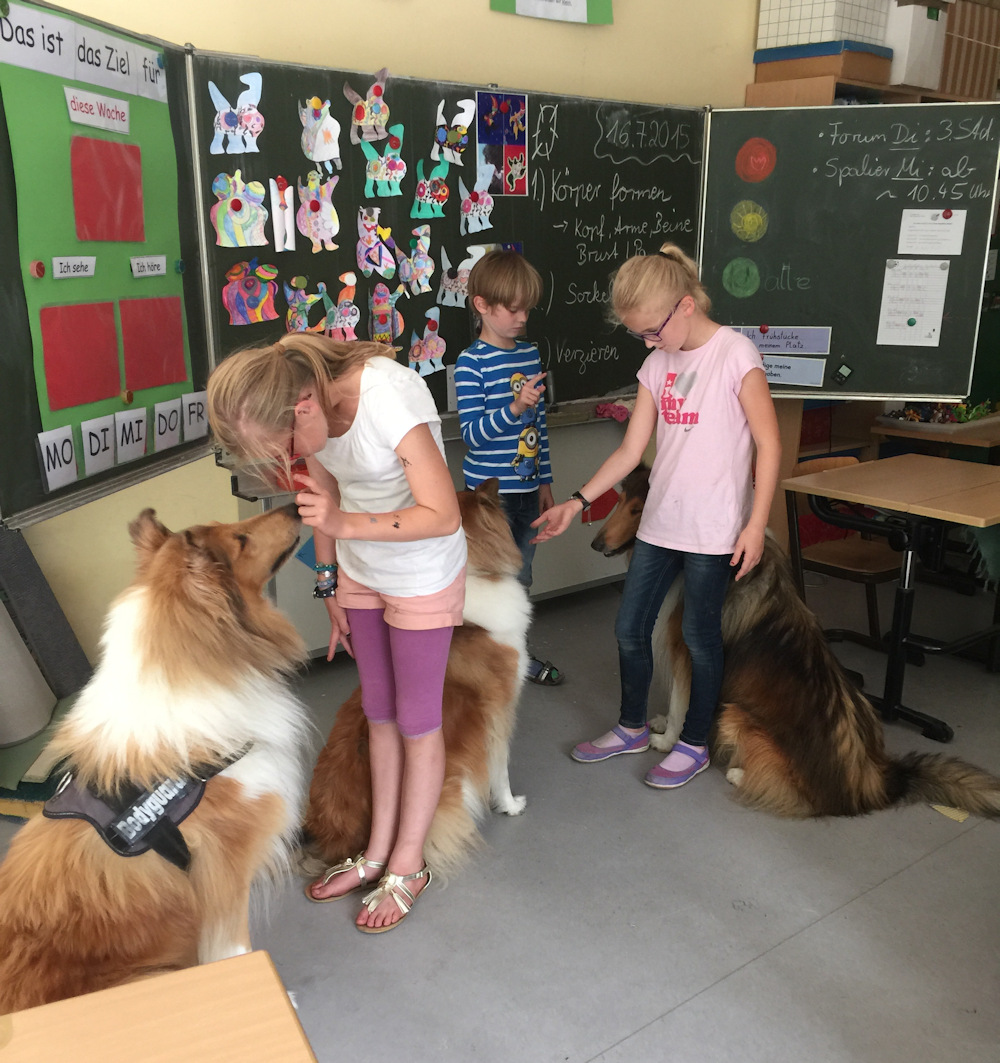 Schulbesuch